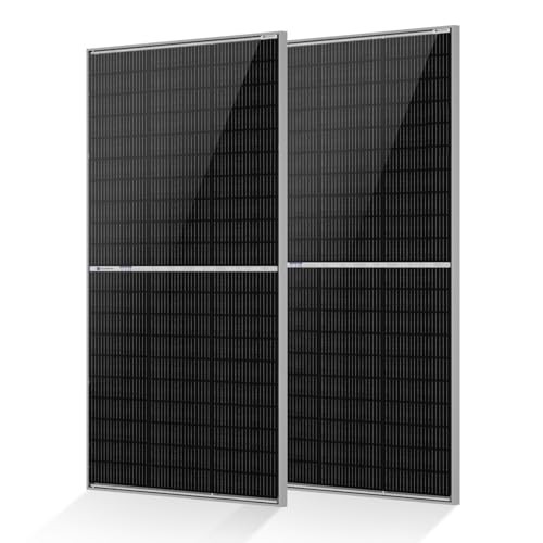 N-Type 18BB Bifacial Solar Panels, 2PCS 195W 12 Volt 195W N-Type (2 pcs)