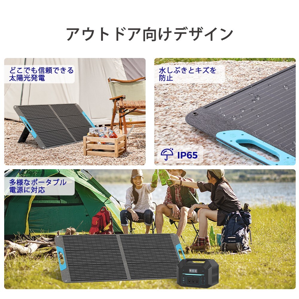 Renogy 100W Foldable Solar Panel, IP65 Waterproof Portable Solar Panel for Power