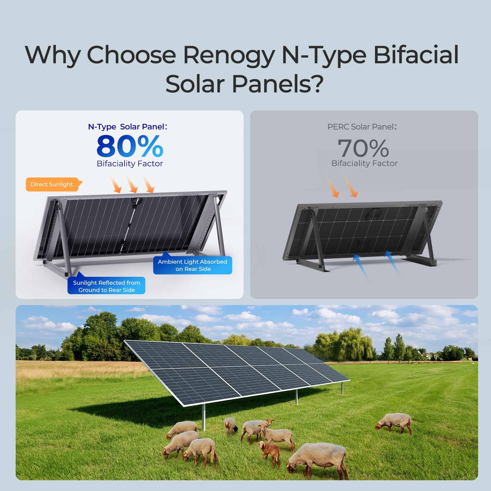 Renogy Solar Panels 2pcs 590 Watt N-Type Bifacial Monocrystalline 16BB For Homes