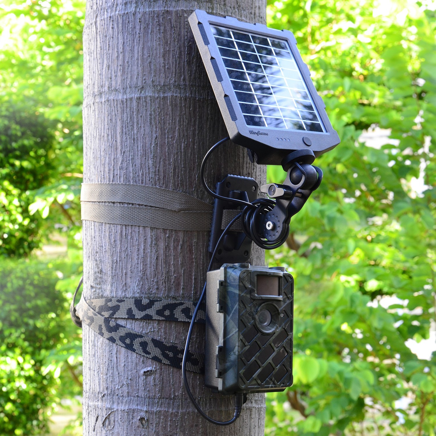 Solar Panel 12V 1A 6V 1.5A 2000mAh Battery Charger Kit for Trail Camera Outdoor