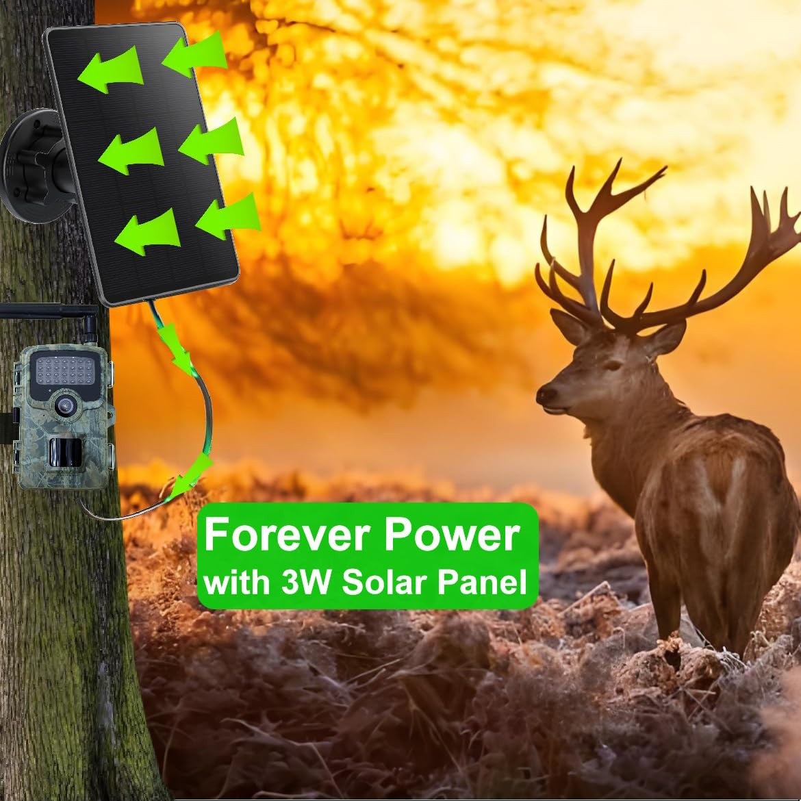 Trail Camera Solar Panel, Mini Solar Battery Charger DC 12V/1A 6V/1.5A & USBC…