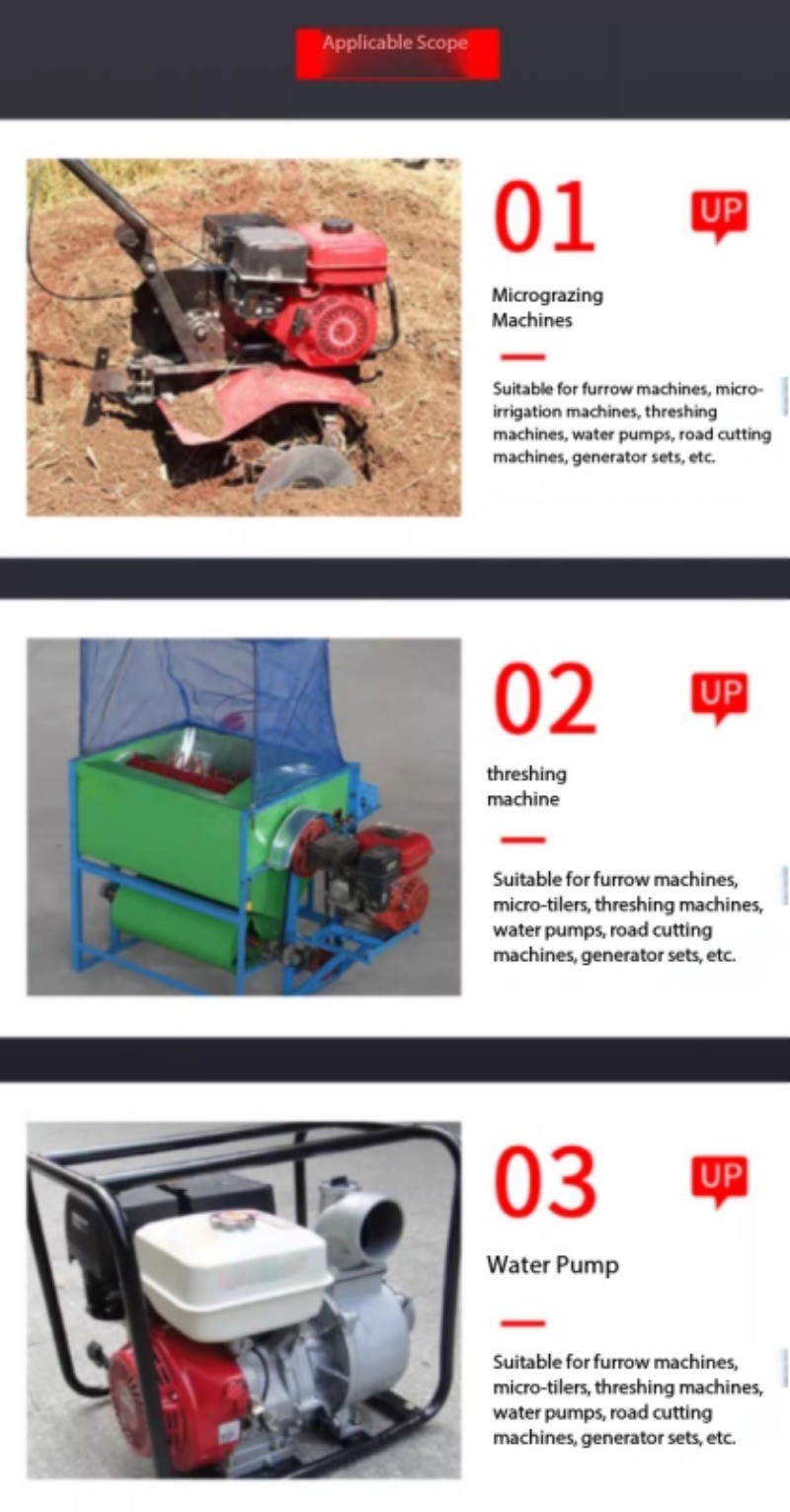 Small Engine 170F Gasoline-Powered Thresher Water Pump Grain Thresher