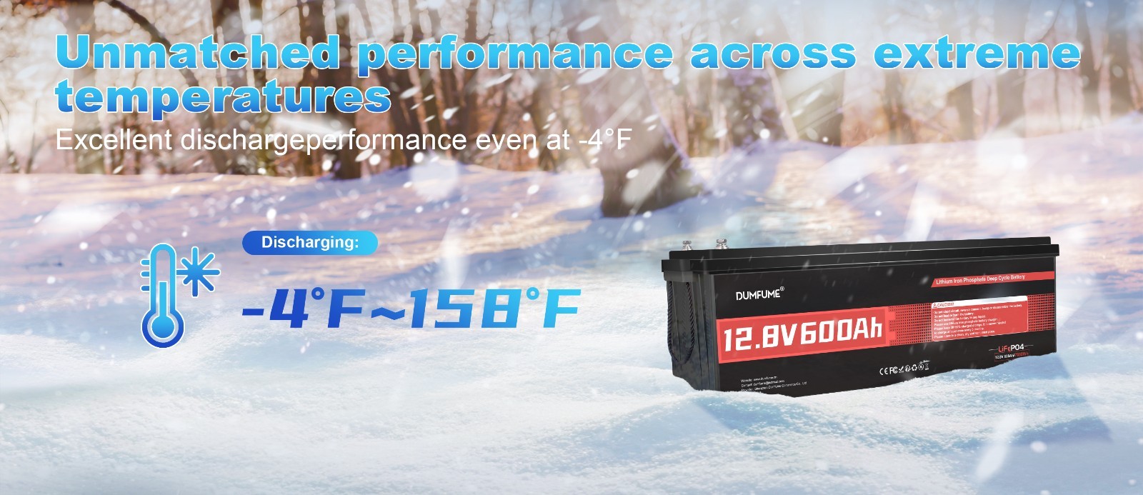 12V 600Ah LiFePO4 Lithium Battery Deep Cycle 7680Wh 200A BMS for RV Boat Marine