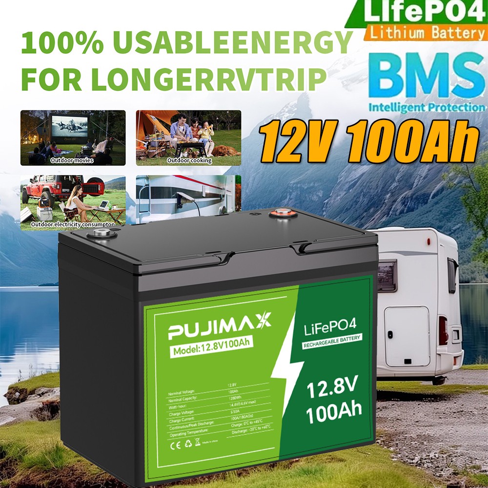 NEW 12V 100Ah LiFePO4 Lithium Battery Built-in BMS 8000+ Cycle Deep for Solar RV