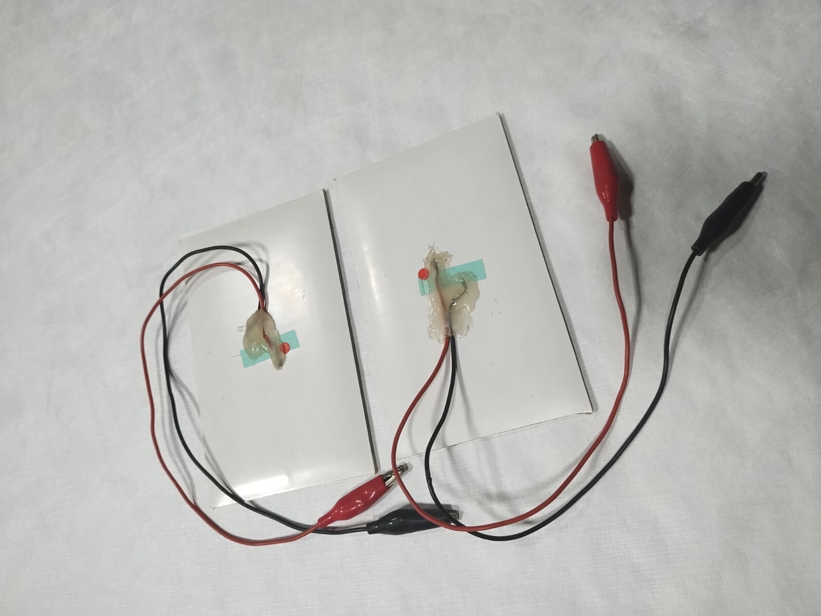 two small 6v solar panels with alligator clips glass