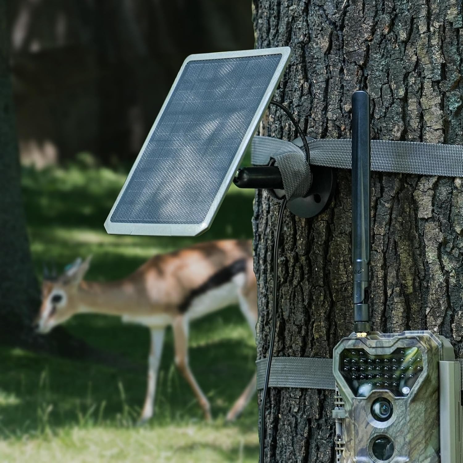 SP350 Solar Panel for Trail Camera, 12V/1A, 9/1.3A, 6V/2A, 5.5X2.1 DC Plug, 13-F