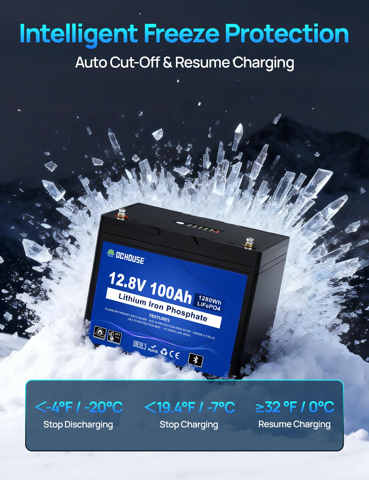 12V 100Ah LiFePO4 Lithium Battery BMS Deep Cycle for RV Marine Solar Off-grid