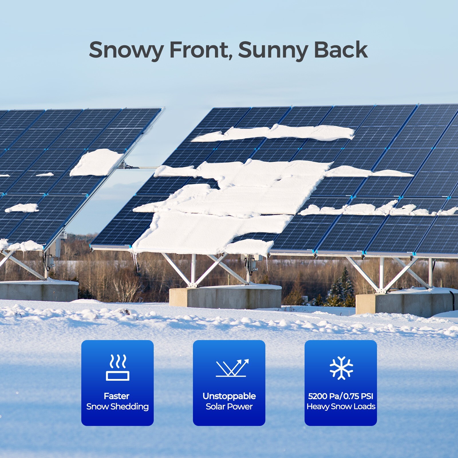 OPEN BOX Renogy Bifacial 220 Watt 12 Volt Monocrystalline Solar Panel