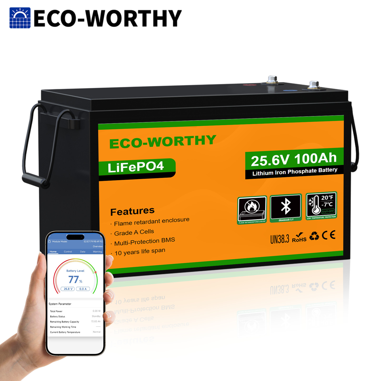 ECO-WORTHY 24V 100Ah LiFePO4 Lithium Battery Metal Case BMS 3000+Deep Cycles