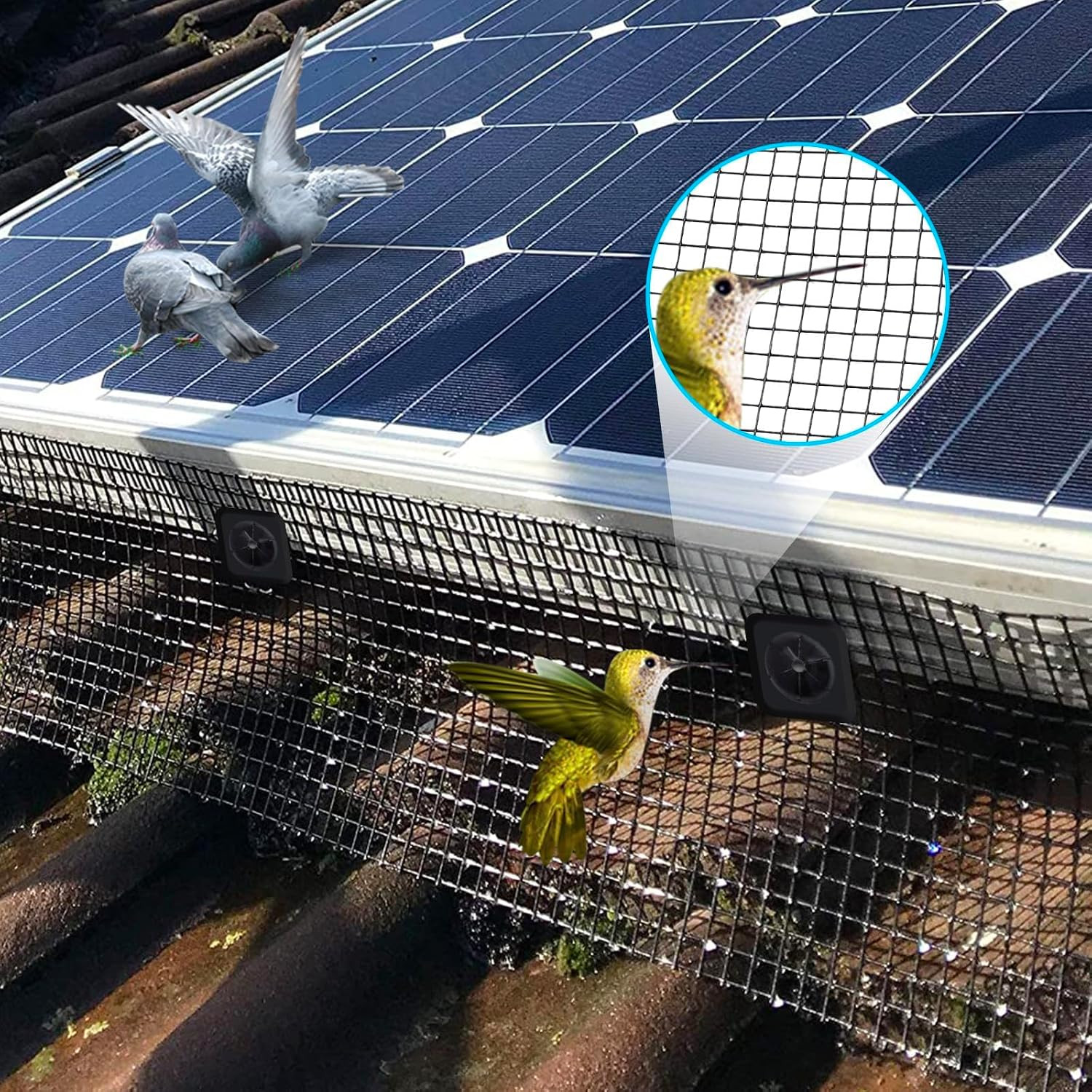 Solar Panel Bird Guard Mesh 8In X100 Ft 70 Fasteners Solar Critter Guard Solar P