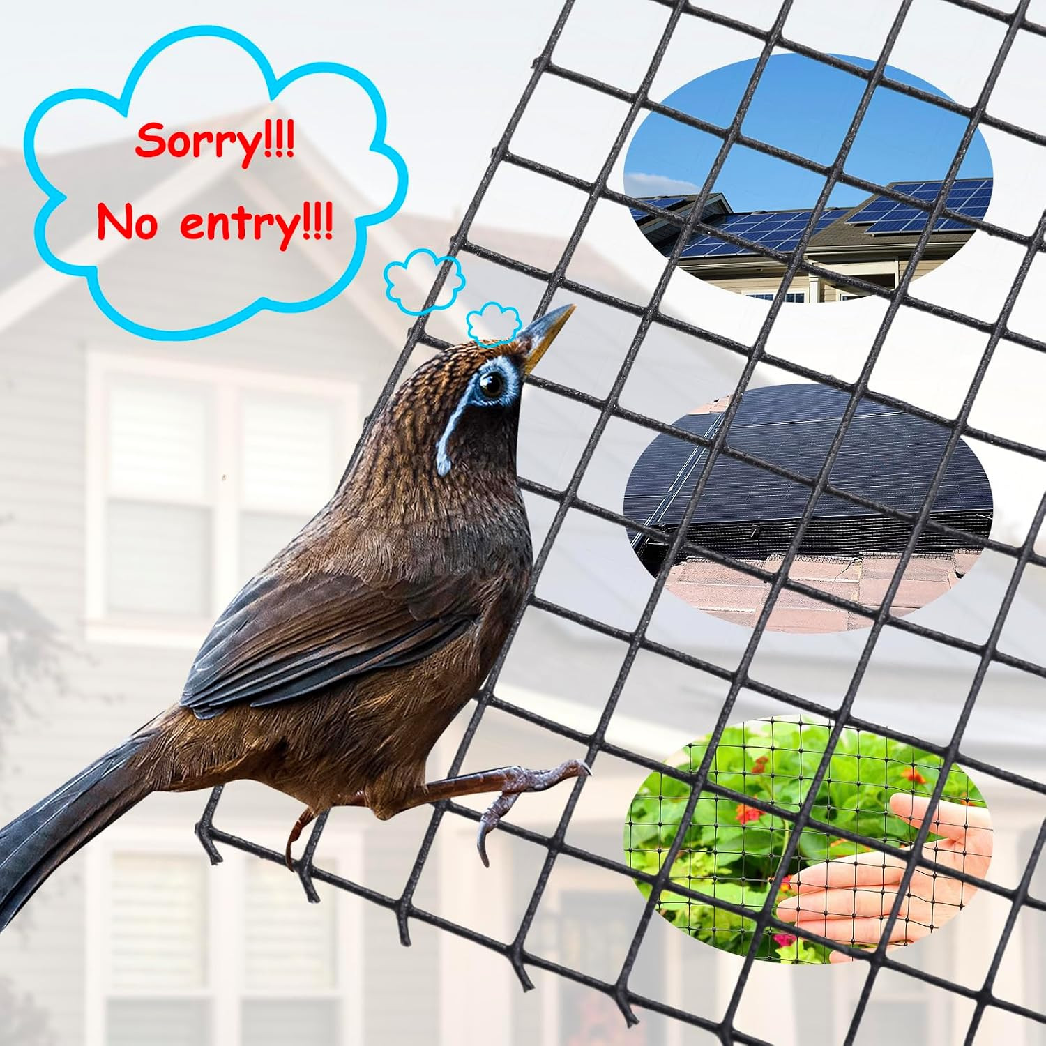 Solar Panel Bird Guard Mesh 8In X100 Ft 70 Fasteners Solar Critter Guard Solar P