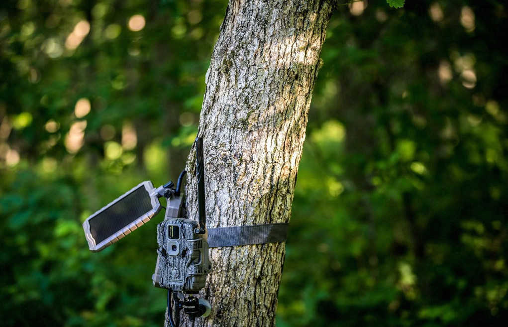 Sol-Pak 12V Solar Battery Pack 3000mAh w/ 10ft Cable Trail Cameras