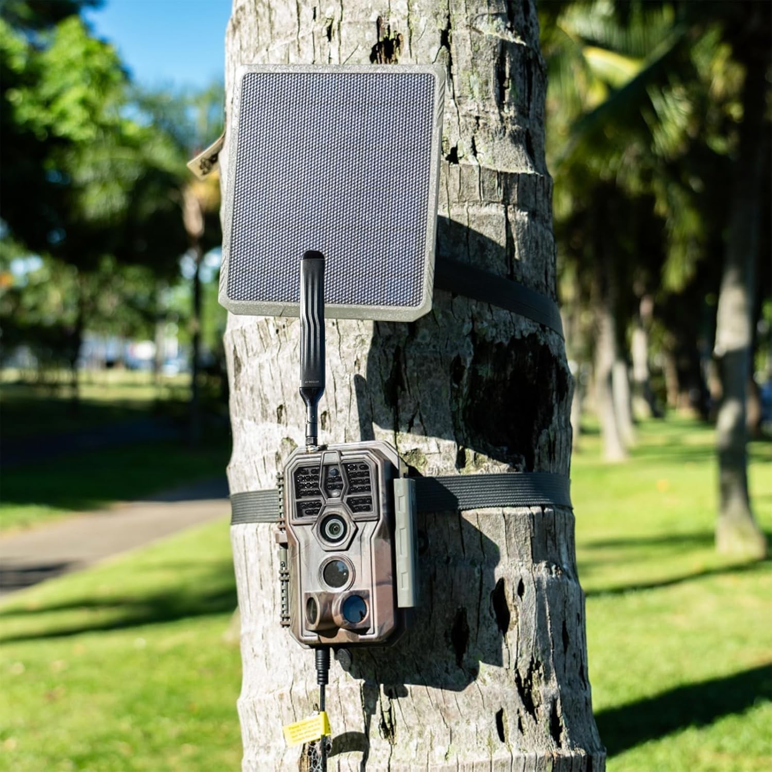 SP300 3.5W Solar Panel for Trail Cameras, Compatible with E6 2.0 Pro, E8 2.0 …