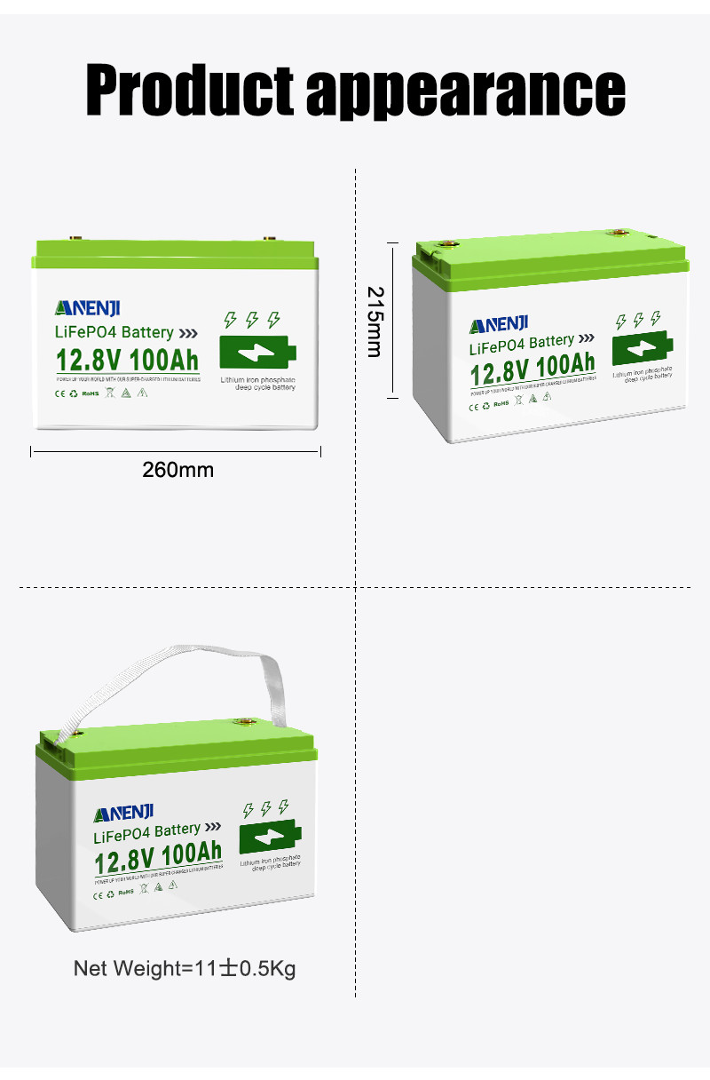 12V 100Ah LiFePO4 Lithium Battery Cycle Deep Built-in BMS for Solar RV Off-grid