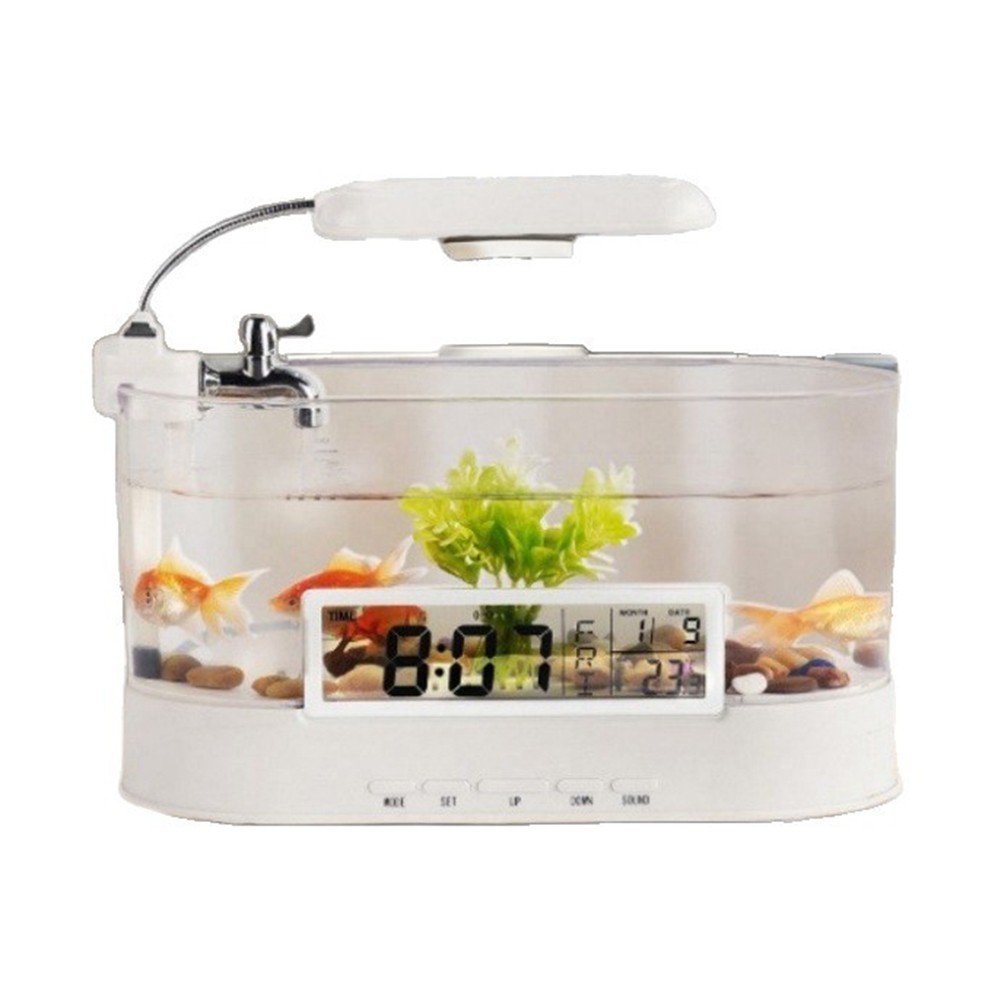 Small Fish Tank with Colorful LED Lights and Integrated Desk Lamp Features