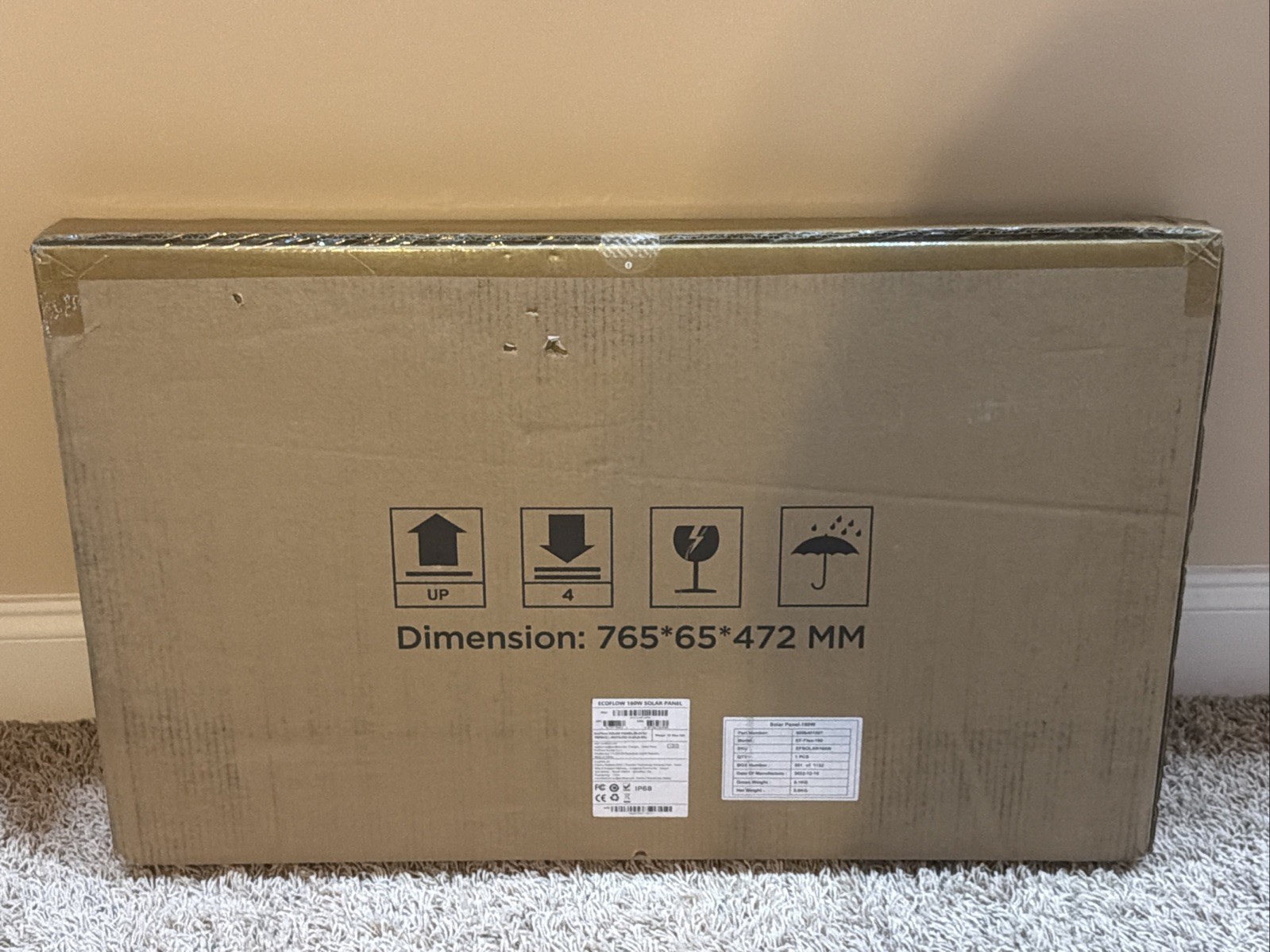 EcoFlow 160W Portable Solar Panel EF-Flex-160 New