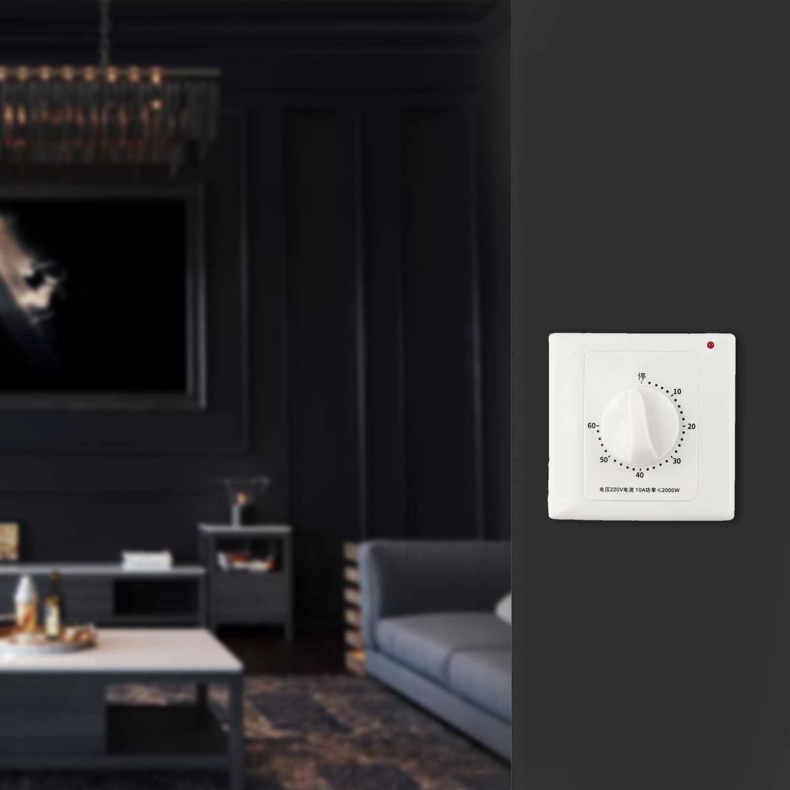 Countdown For Timer Switch with Normally Open Function AC100-240V 10A Plastic
