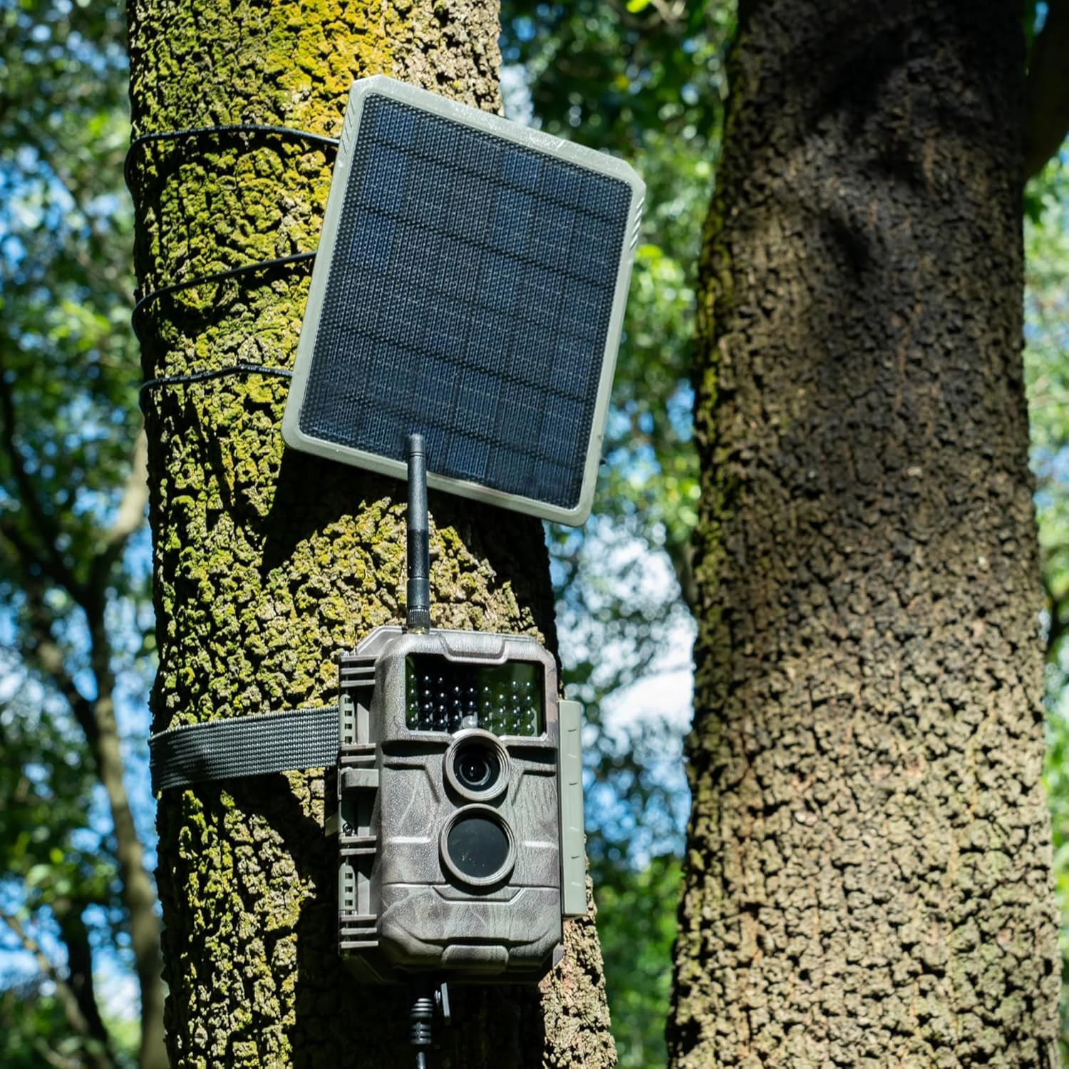 SP300 Solar Panel, 3.5W, 5.5X2.1Mm DC Plug, for Rechargeable Trail Cameras E6P,