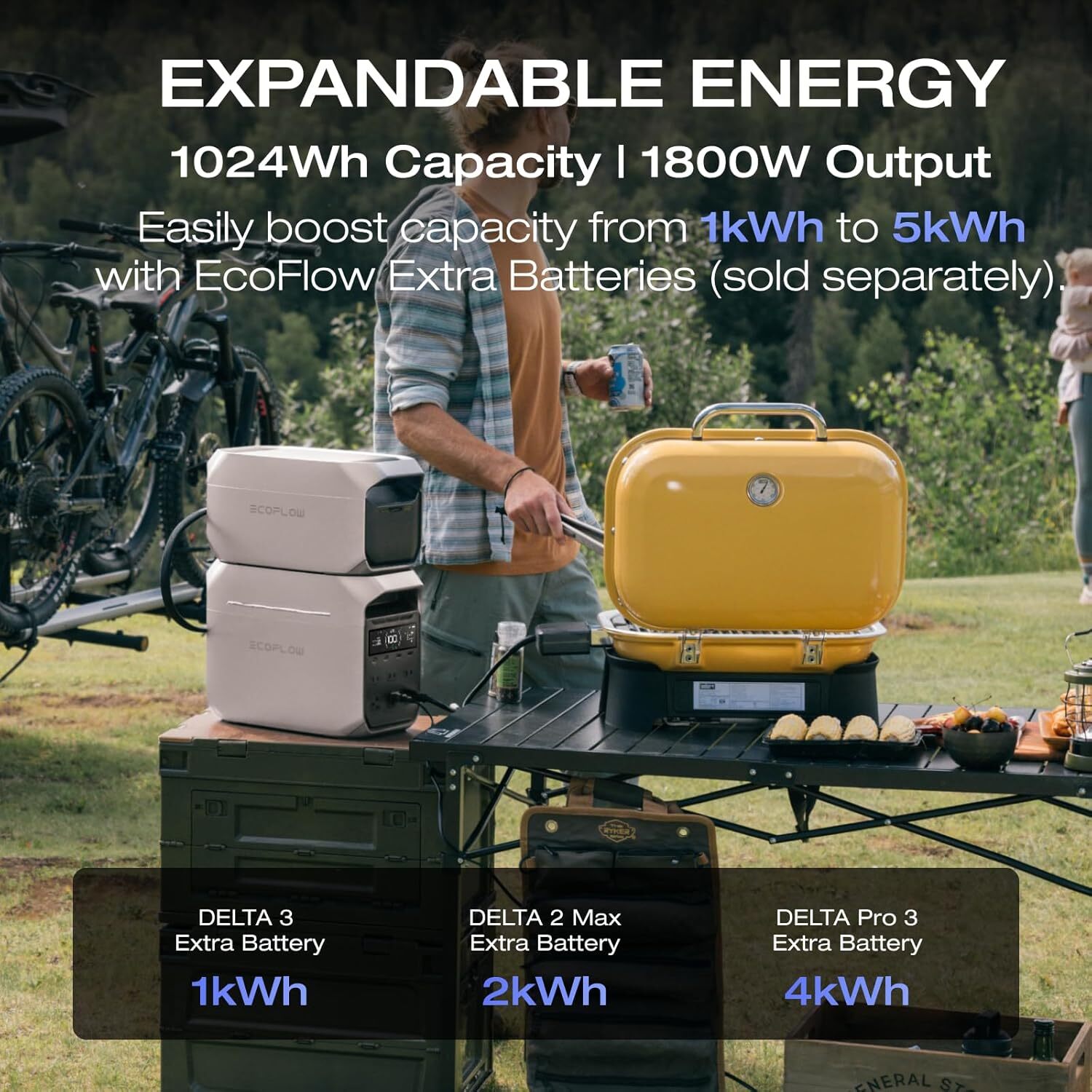 Portable Power Station DELTA 3 plus (2024 New), Solar Generator (Solar Panel Opt