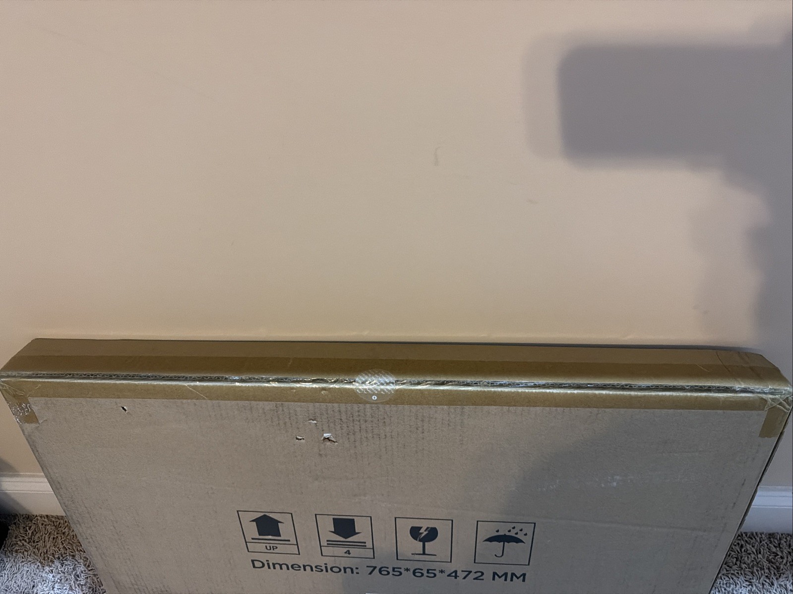 EcoFlow 160W Portable Solar Panel EF-Flex-160 New