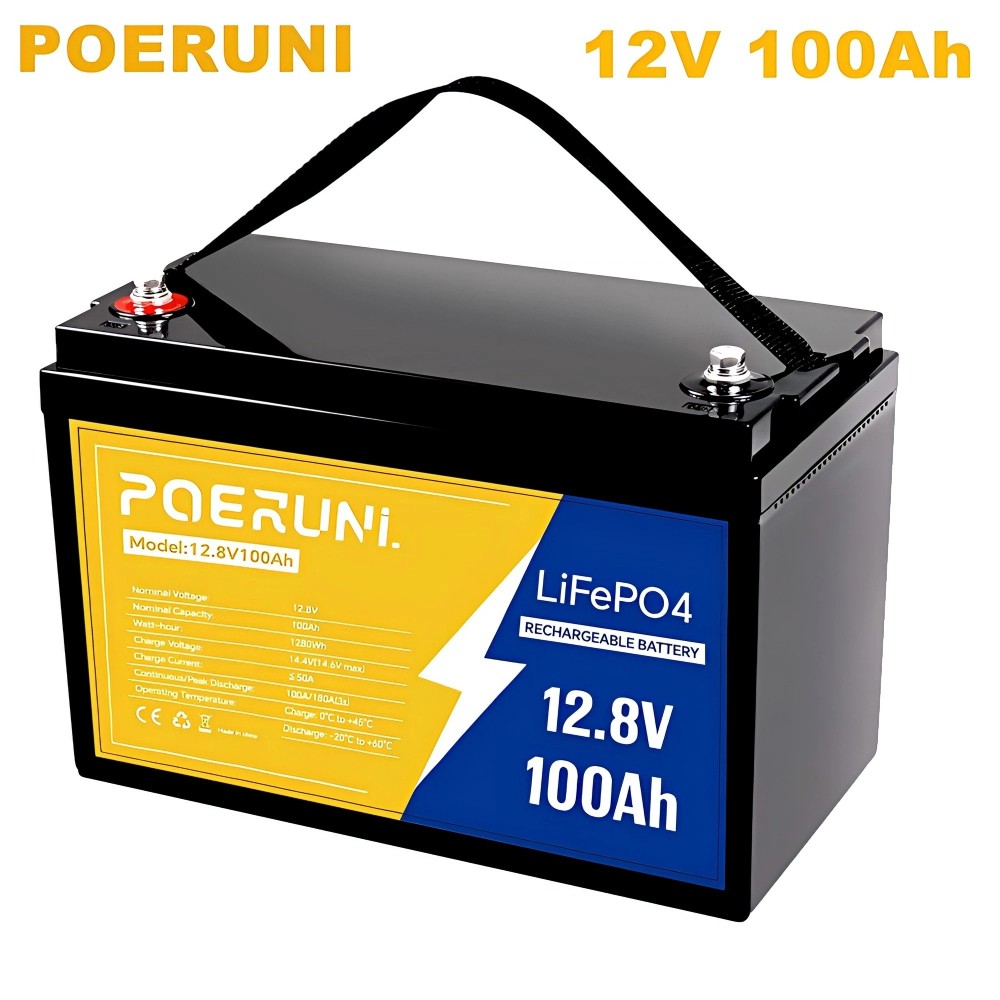 PUJIMAX 12V 100Ah LiFePO4 Lithium Battery Group31 BMS Deep Cycle For Motor Solar