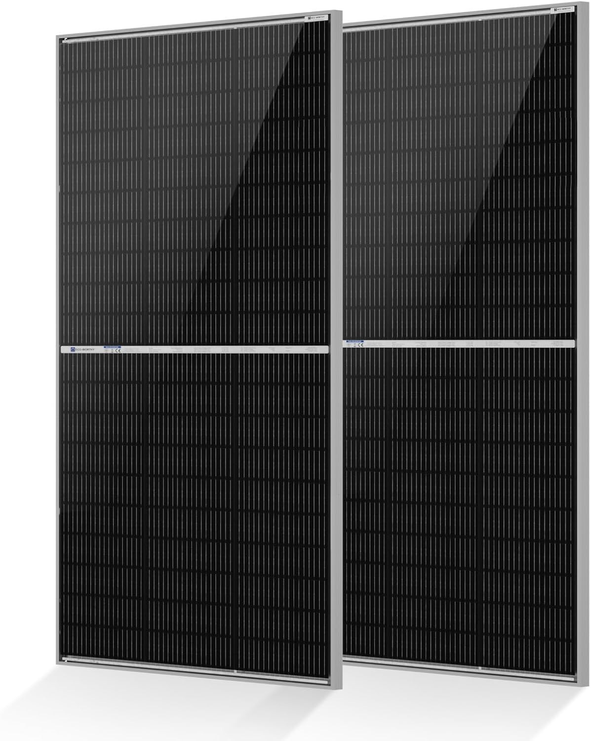 ECO-WORTHY N-Type 18BB Bifacial Solar Panels, 2PCS 195W 12 Volt Monocrystalline