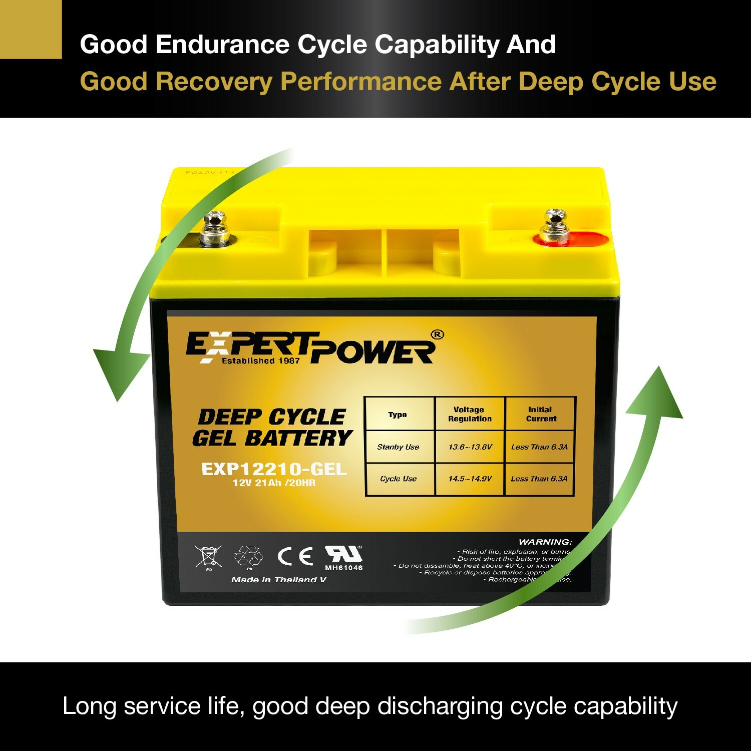 ExpertBattery 250WH 100W 12V Monocrystalline Solar Panel Kit, Off Grid DIY