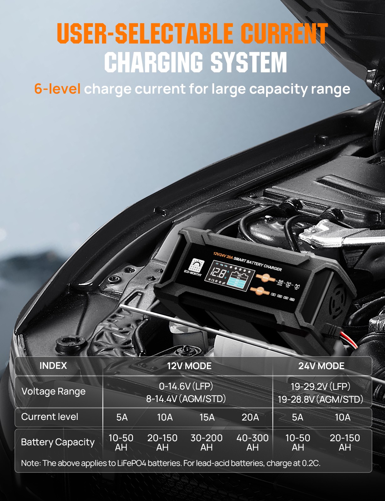 ECO-WORTHY 12V/24V 20A Lithium LifePO4 Battery Charger 14.6V Maintenance
