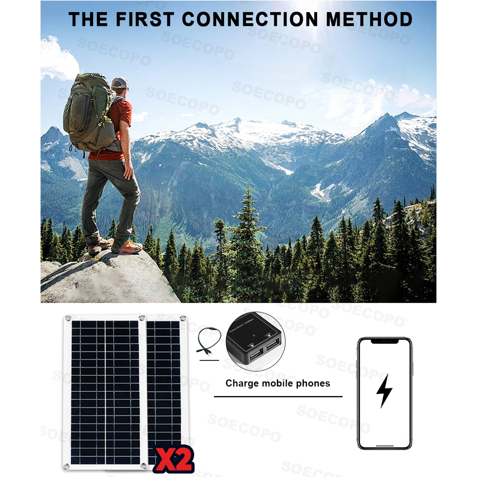 10000W Inverter (12V-110V/220V) + 2pcs Solar Panels + Charge Controller 100A