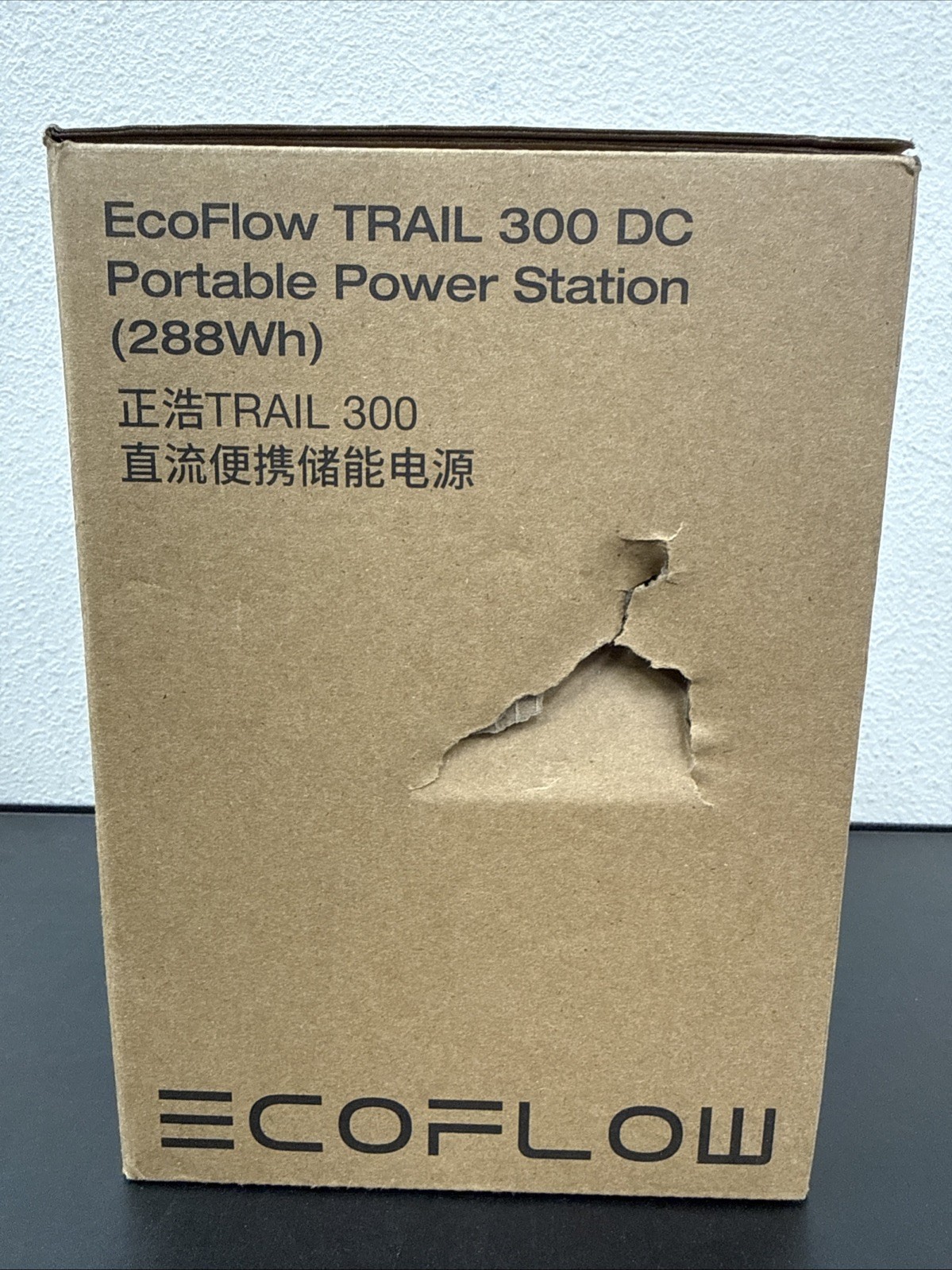 EcoFlow TRAIL 300DC Portable DC Power Bank Lightweight Compact 288Wh