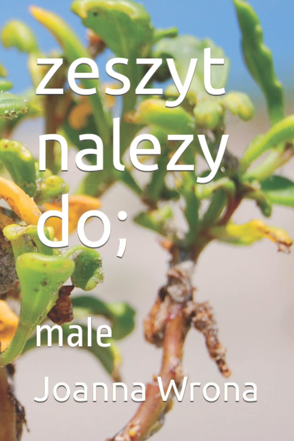 zeszyt nalezy do;: male (1)