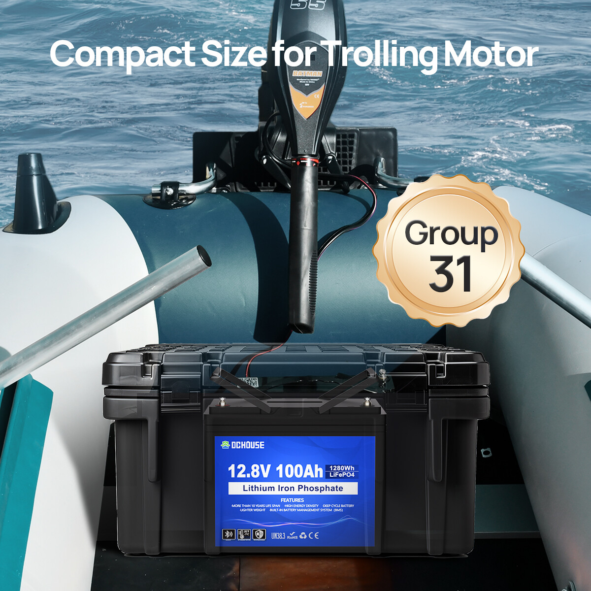 DC HOUSE 12V 100Ah LiFePO4 Lithium Battery with BlueTooth and LED indicator RV
