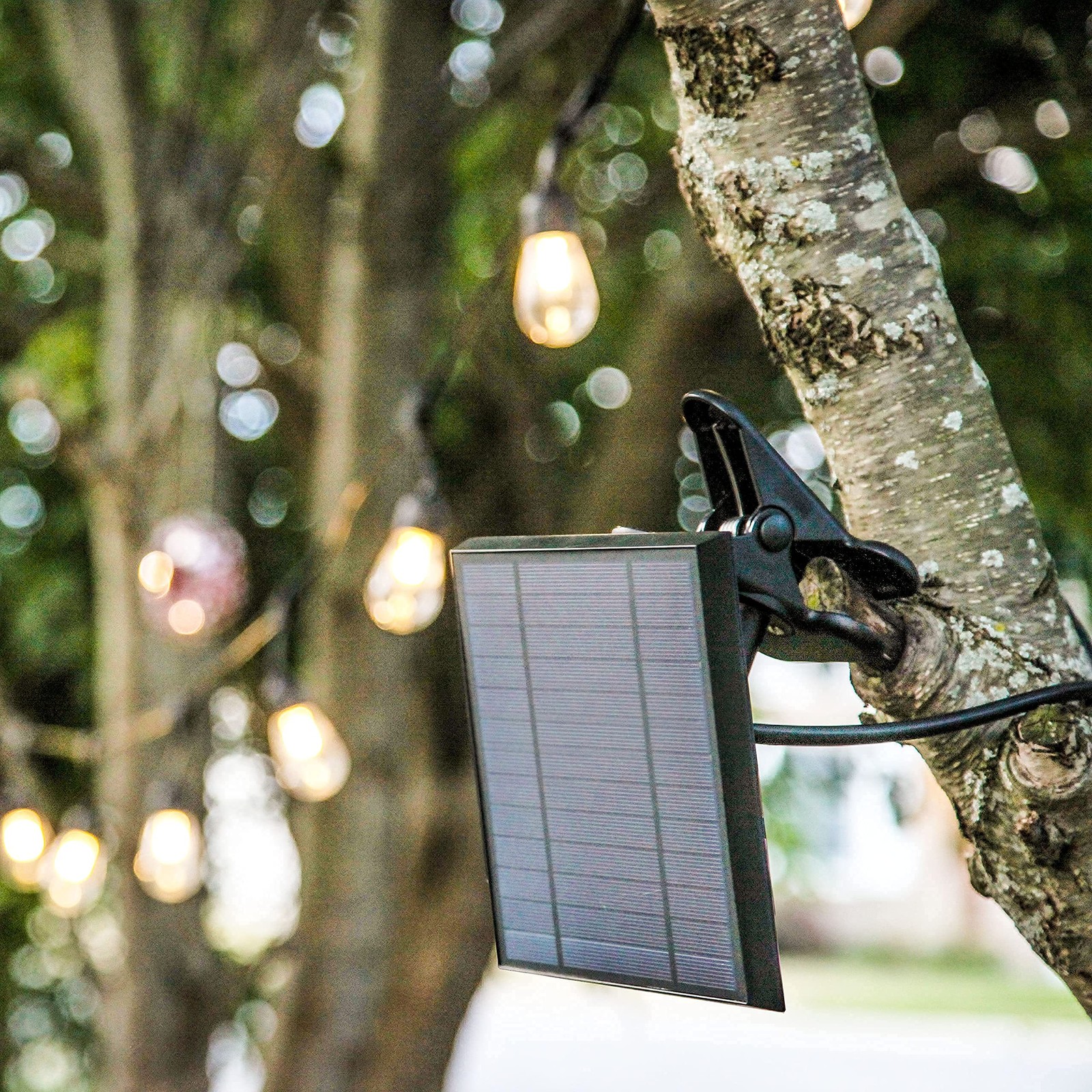 Brightech Replacement Solar Panel Ambience Pro Compatible ONLY with Brightech 1W
