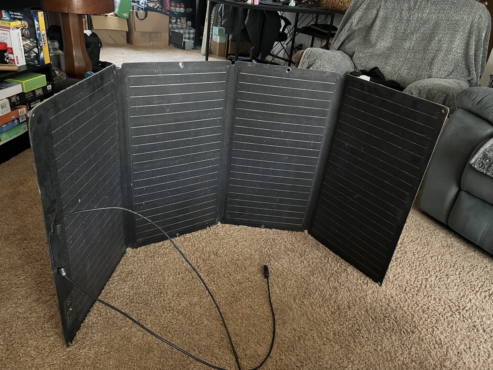 EcoFlow 160W Portable Solar Panel Used #101