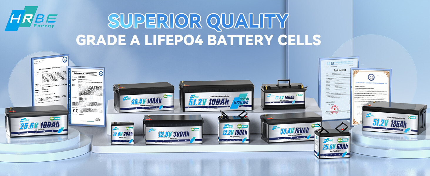 12V 24V 100Ah 200Ah 300Ah LiFePO4 Lithium Batterie BMS Bluetooth for Solar RV