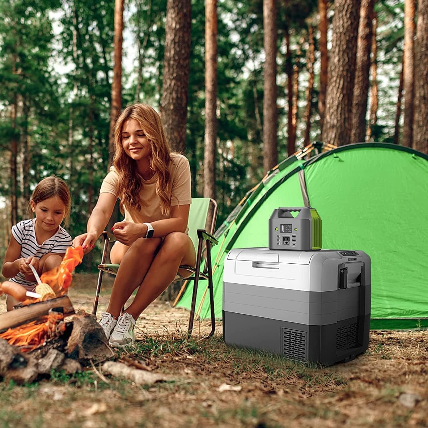 Portable Power Station, 150W 155Wh Power Bank with 110V AC Outlet, 6 Outputs …