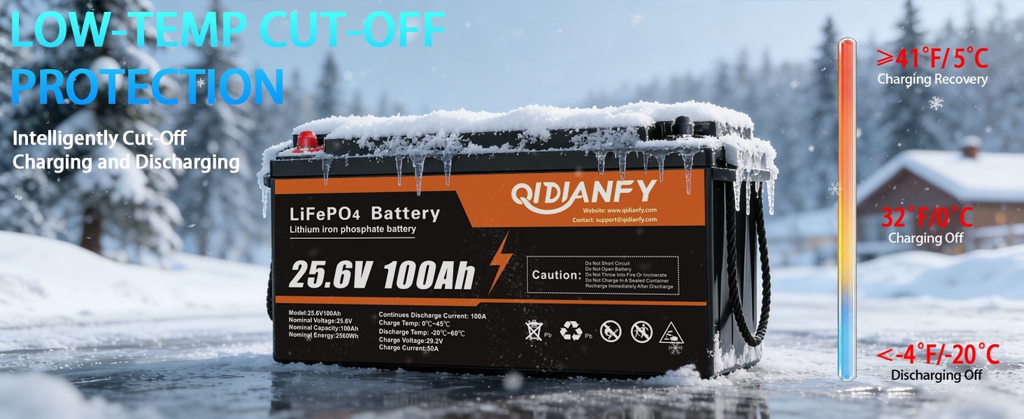 24V 100Ah LiFePO4 Lithium Battery 2560wh 100A BMS Deep Cycles For RV Off-Grid
