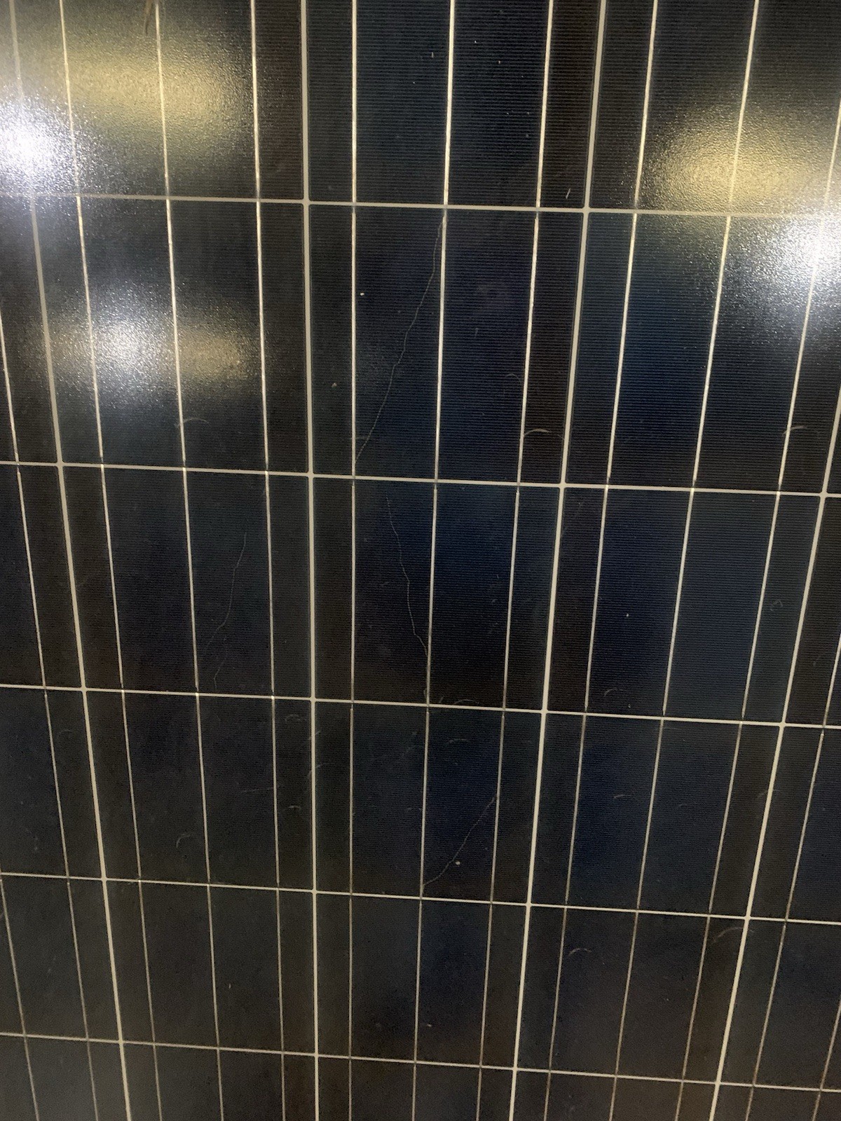 Solar Panels 300w Renesola with Sticker *snail Trails. Great solar Panel