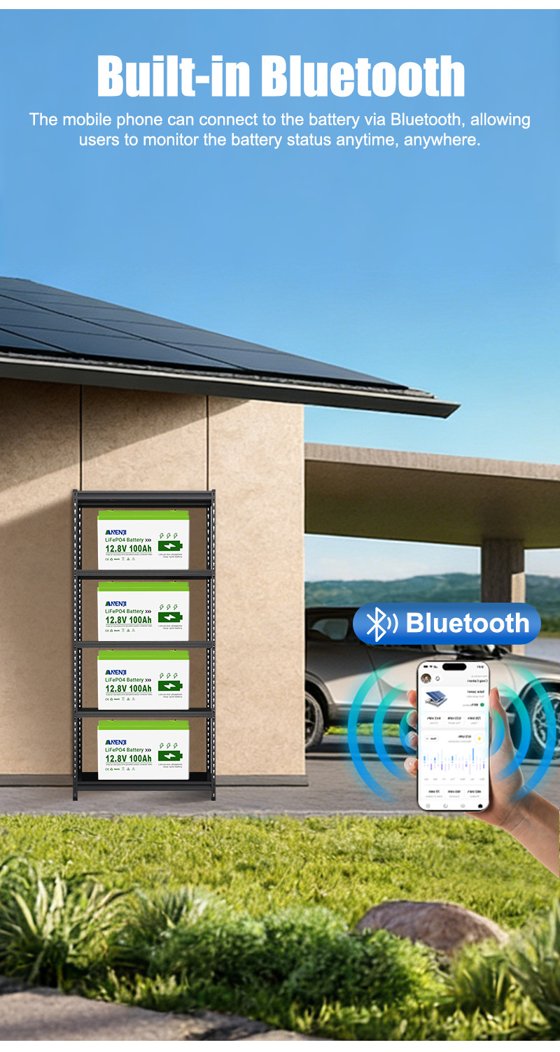 12V 100Ah LiFePO4 Lithium Battery Cycle Deep Built-in BMS for Solar RV Off-grid