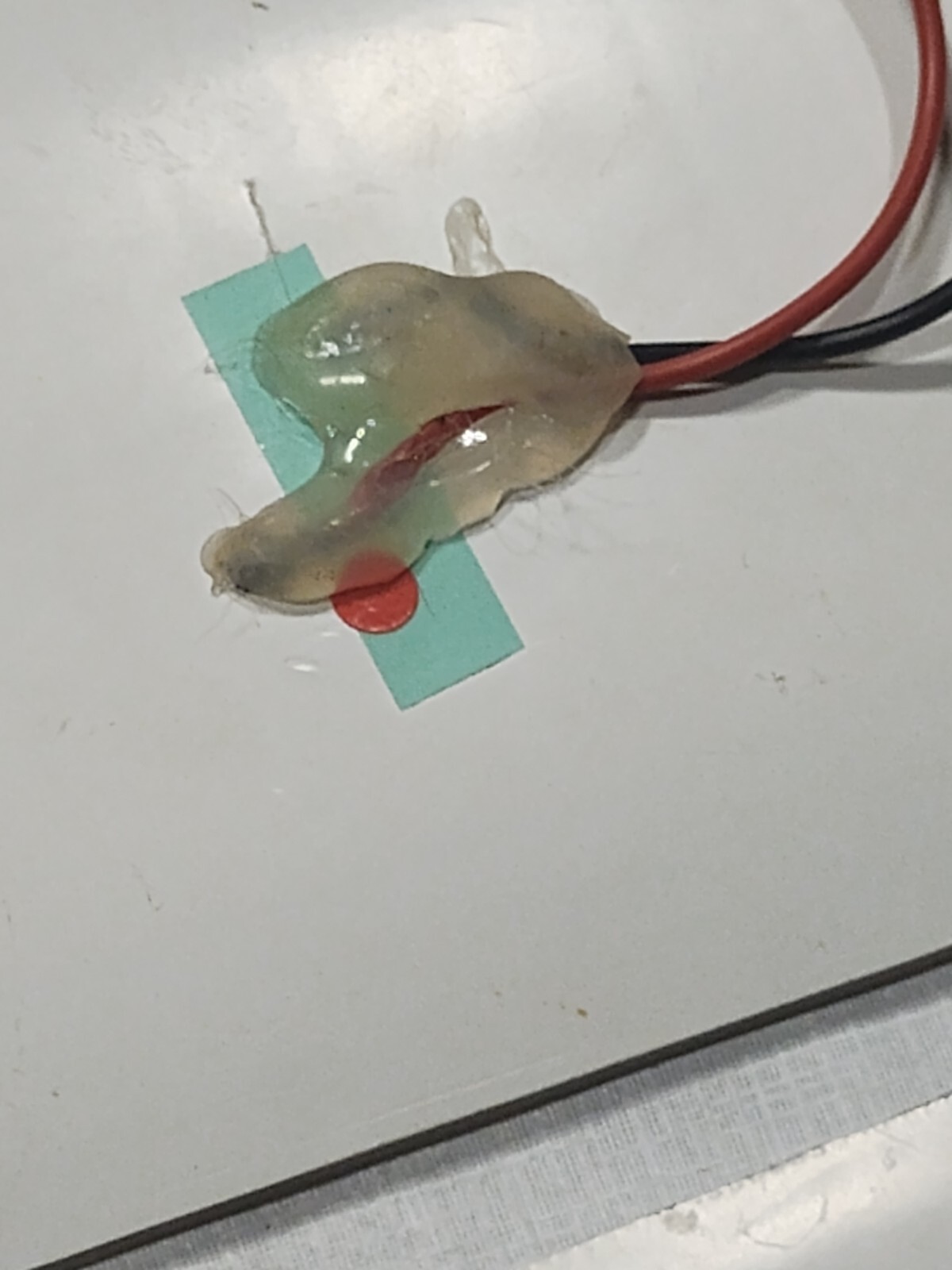 two small 6v solar panels with alligator clips glass