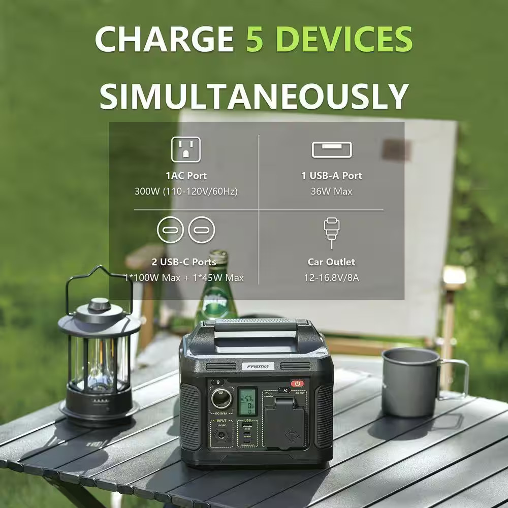 TP300 300-Watt Portable Power Station Push Button Battery Generator