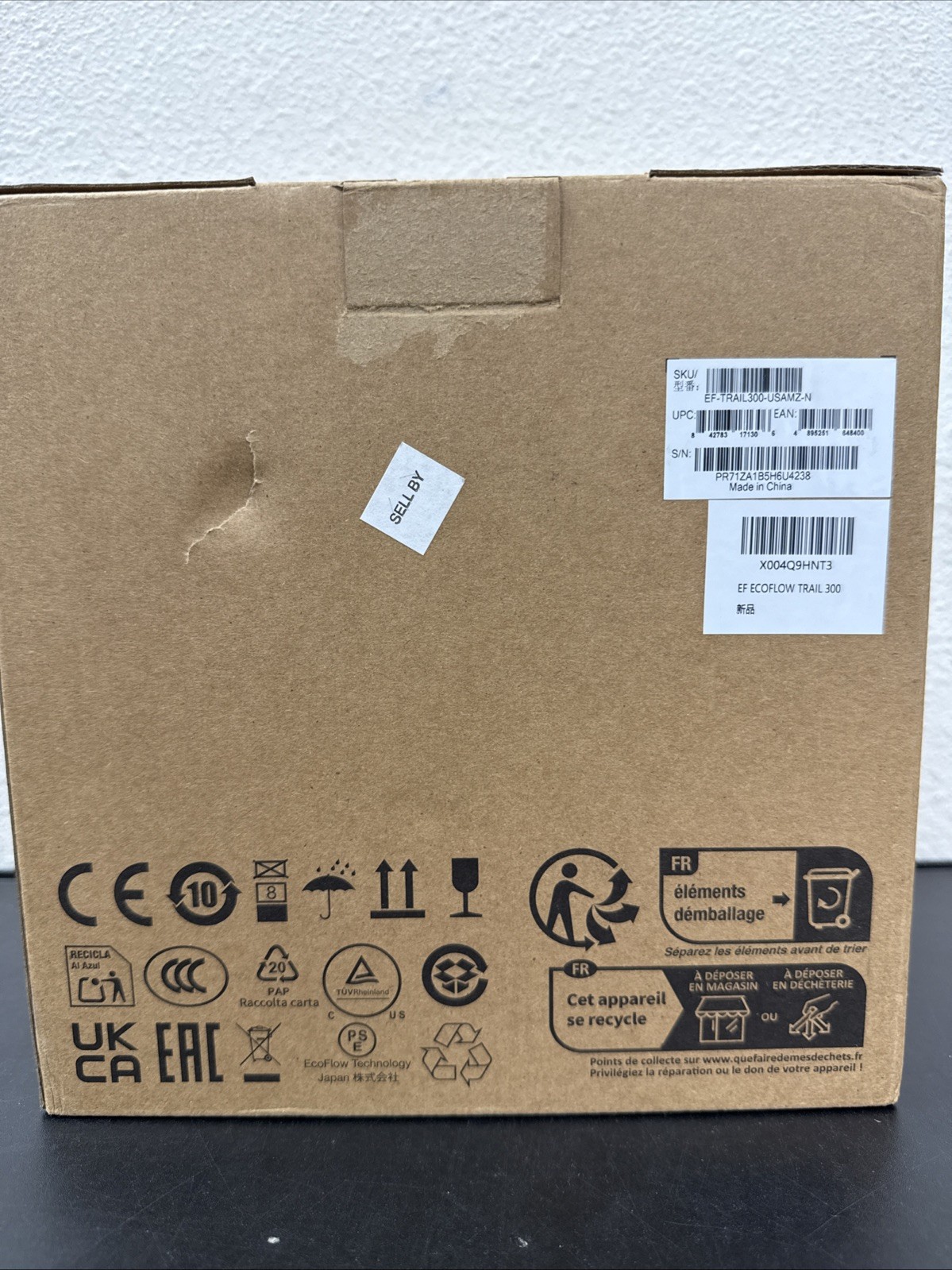 EcoFlow TRAIL 300DC Portable DC Power Bank Lightweight Compact 288Wh