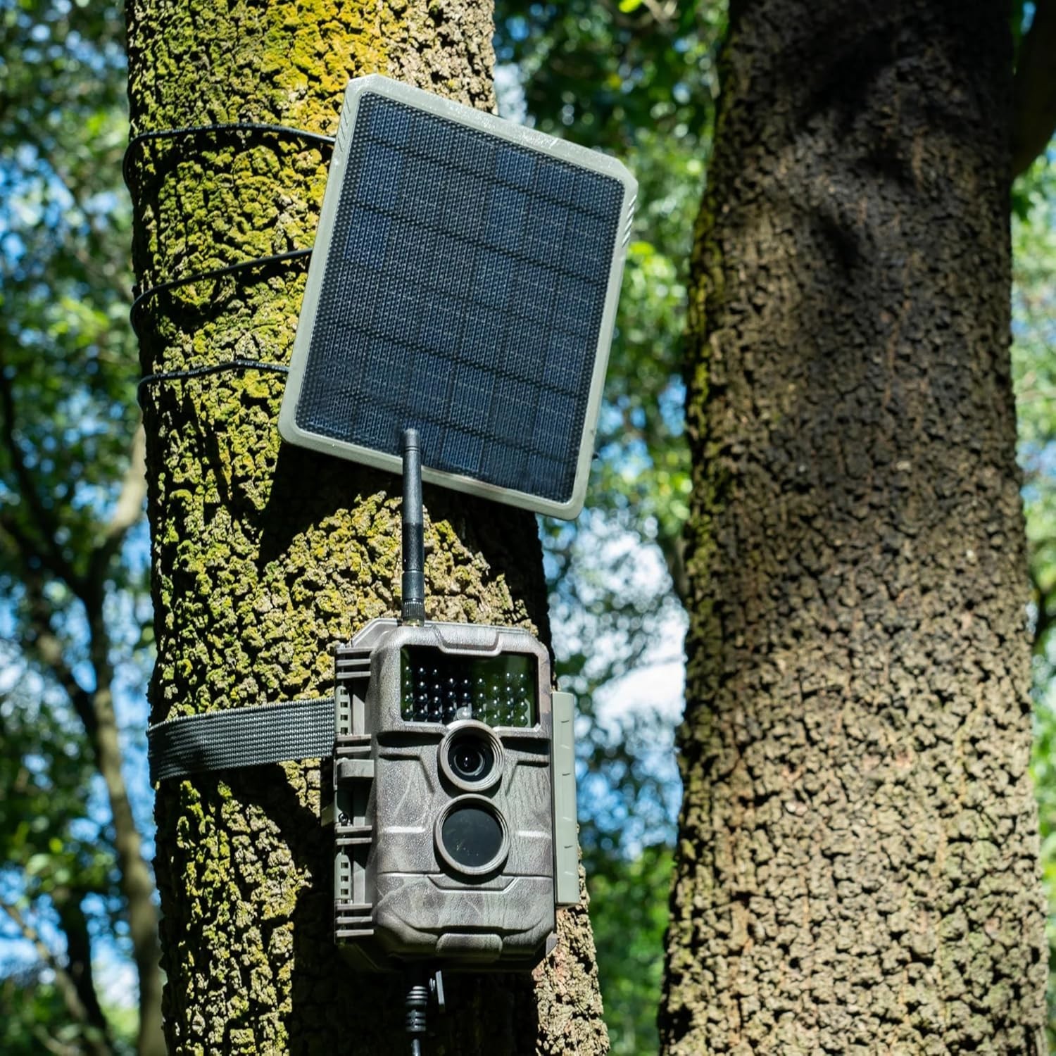 SP300 3.5W Solar Panel for Trail Cameras, Compatible with E6 2.0 Pro, E8 2.0 …