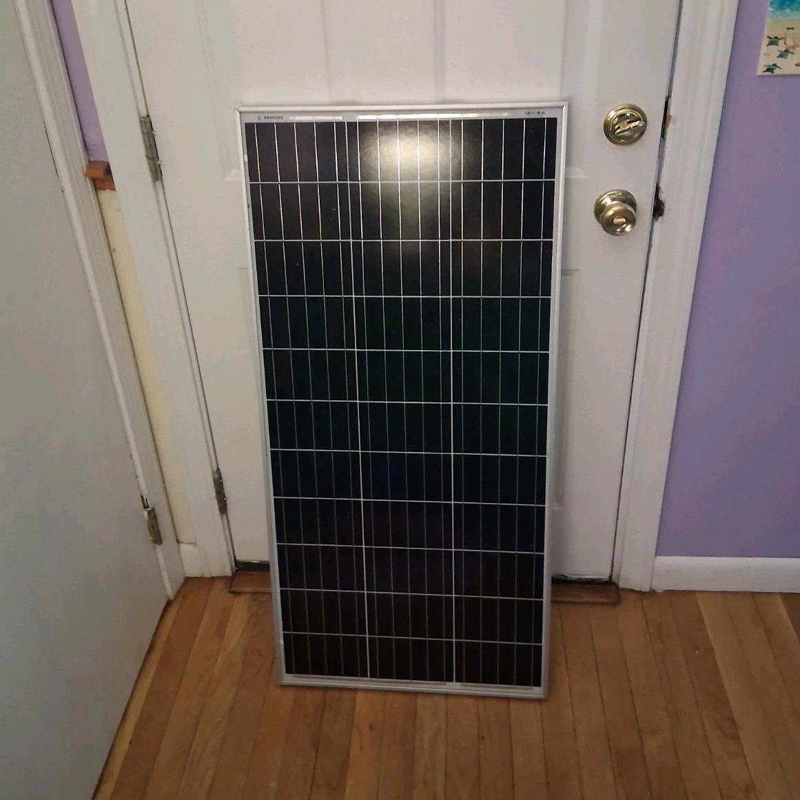 Renogy RNG-100D-SS 100W Monocrystalline Maintenance Free Off-Grid Solar Panel