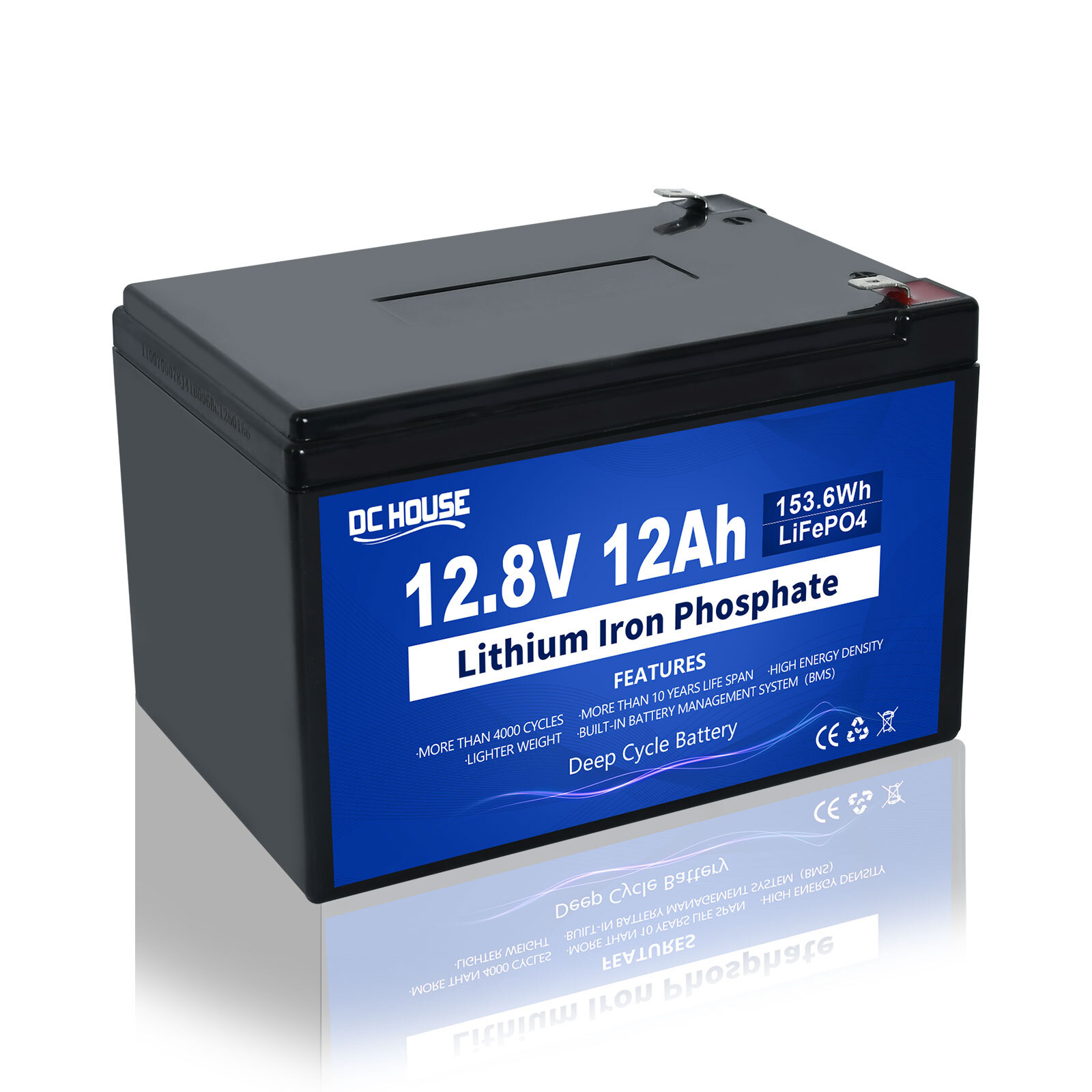 12V 10AH 12Ah LiFePO4 Lithium Battery 15A BMS Up to 15000+ Cycles for RV Home