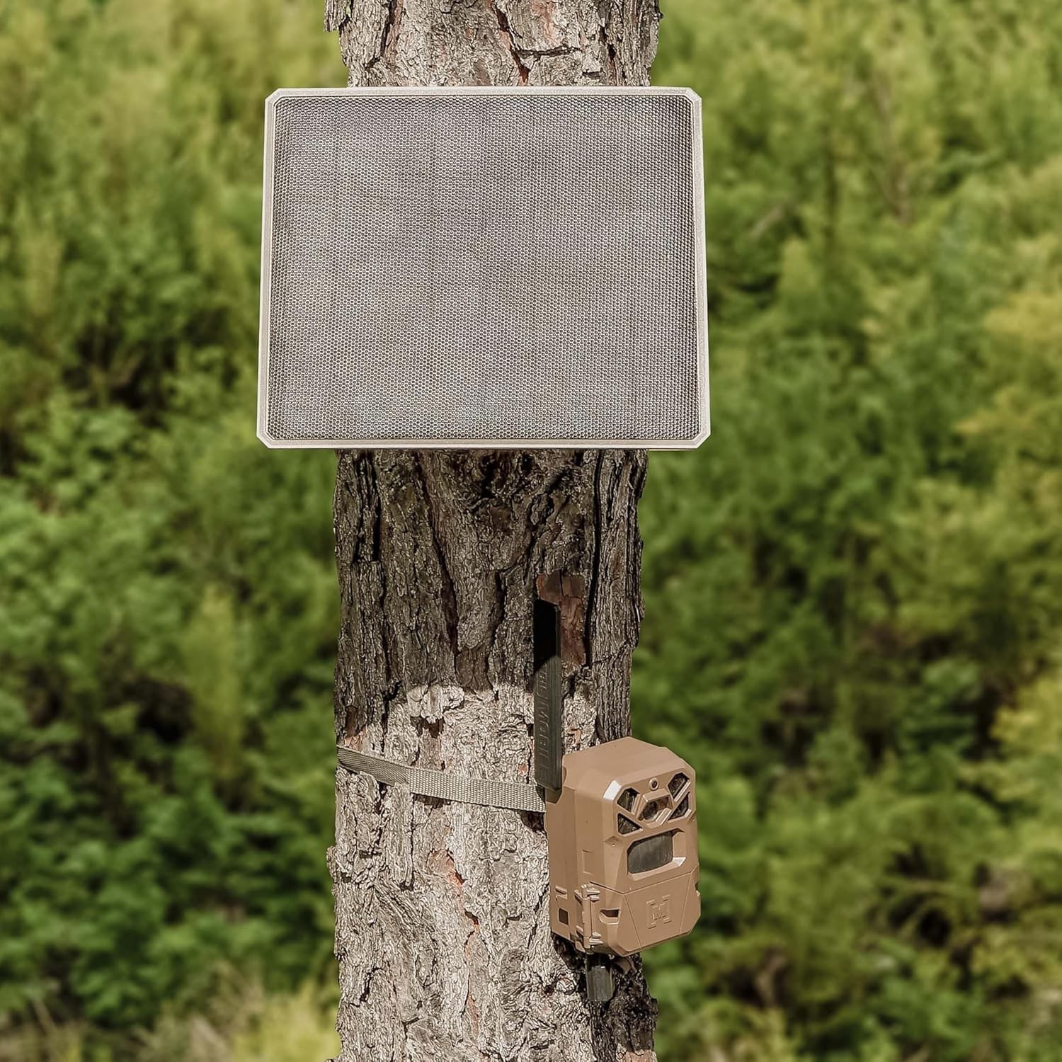 10W Solar Power Pack for Trail Cameras – Versatile USB-C Rechargeable Pack