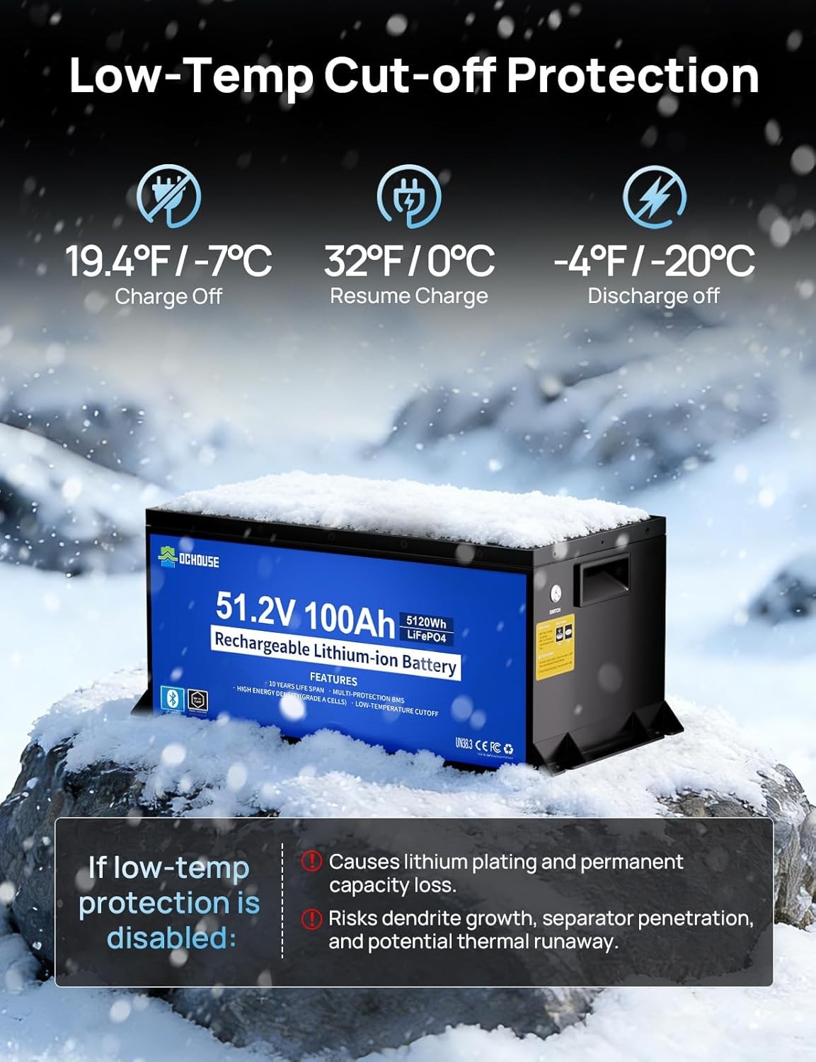 DC HOUSE 48V 100AH Golf Cart Lithium LiFePO4 Battery with 18A Charger Bluetooth