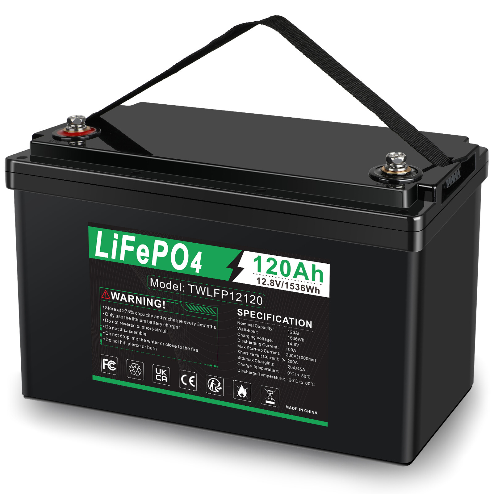 12V 120Ah LiFePO4 Lithium Battery BMS Deep Cycle 20A 24V Smart Battery Charger