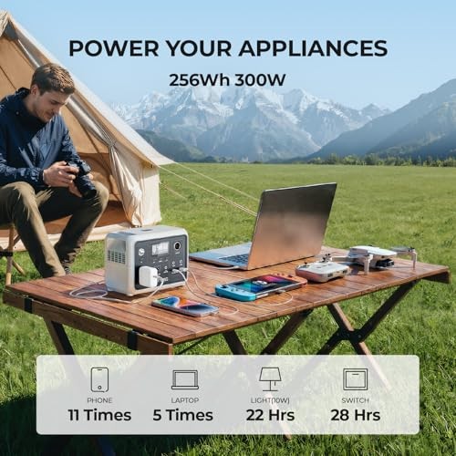 DYNESS 300W Power Station 256Wh Solar LiFePO4