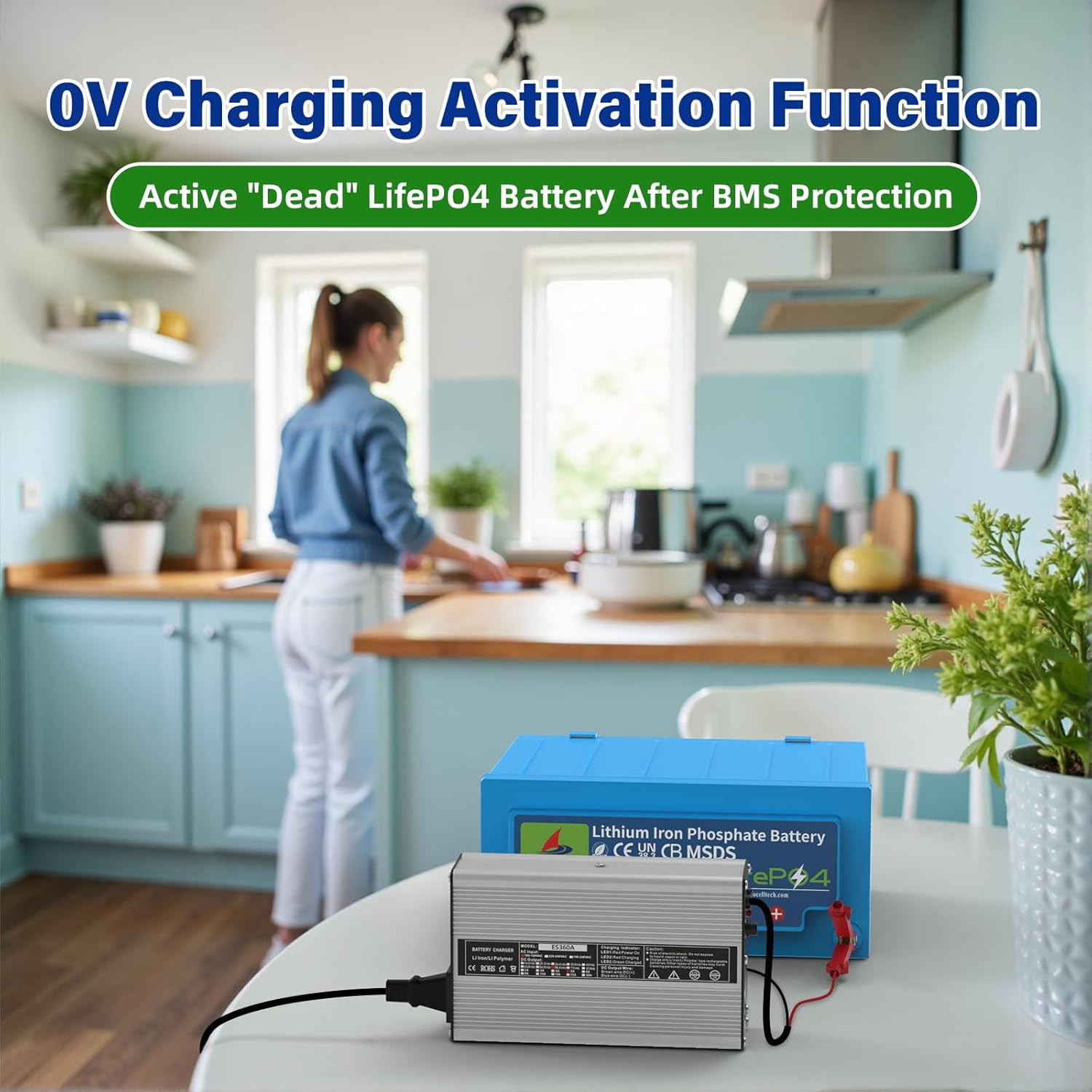58.4V 5A AC-DC Charger for 48V LiFePO4 Batteries, RV, Solar, Golf Cart